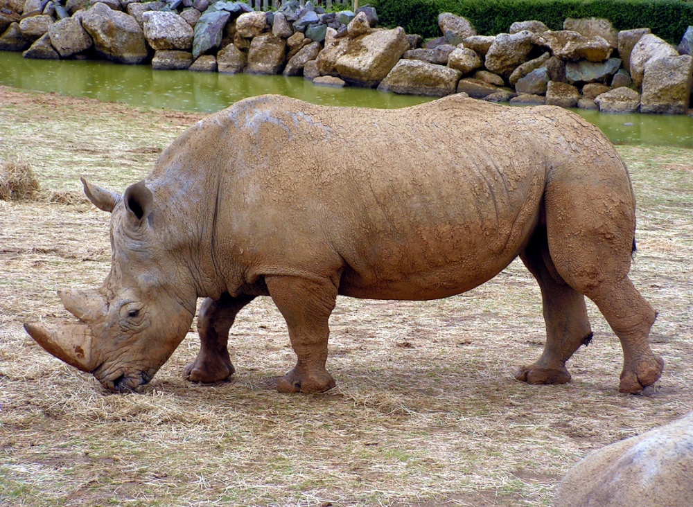 Yes, you got my best side.