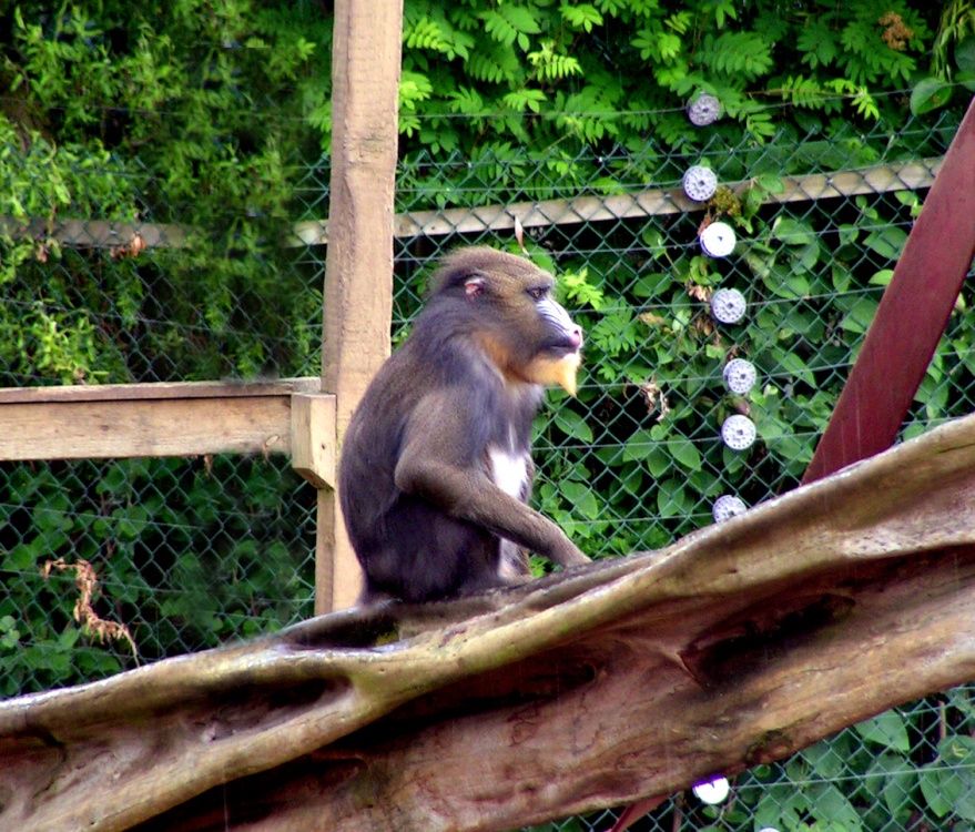 Why is it always me on lookout duty?