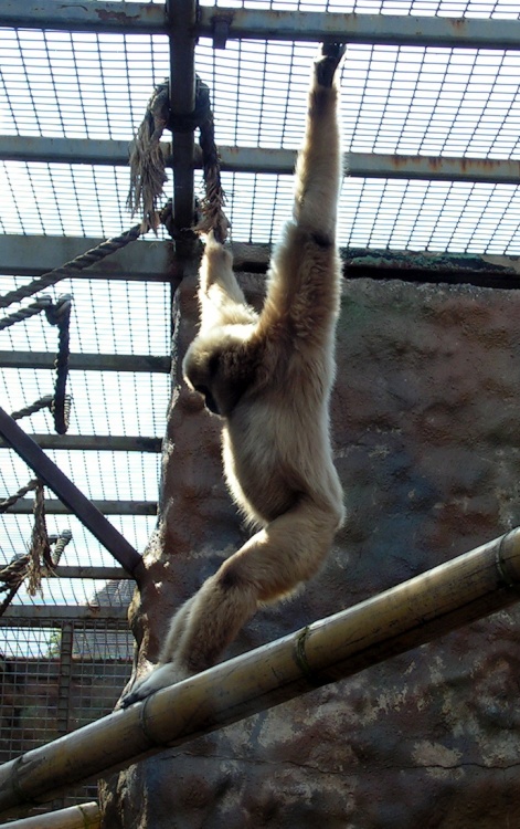 Just hanging around.