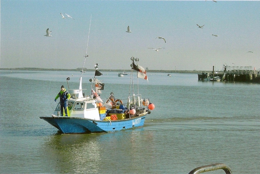 Photograph of Bringing in the fish.
