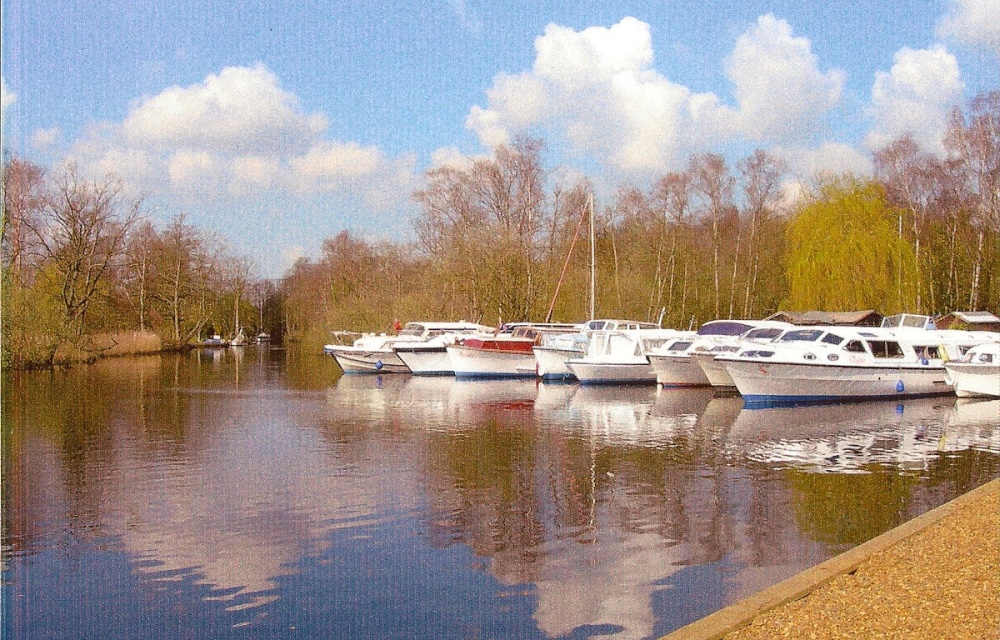 A View of Ludham