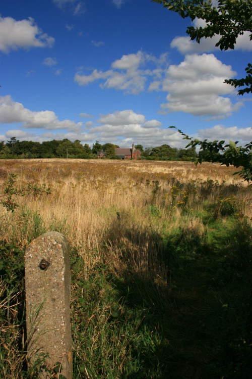 Fields near Willerby