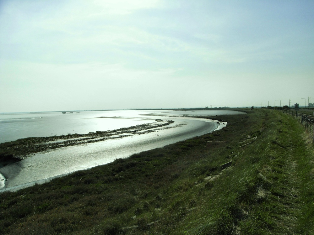 The track from Great Yarmouth to Berney Arms