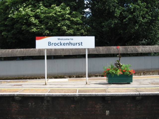 Welcome to Brockenhurst