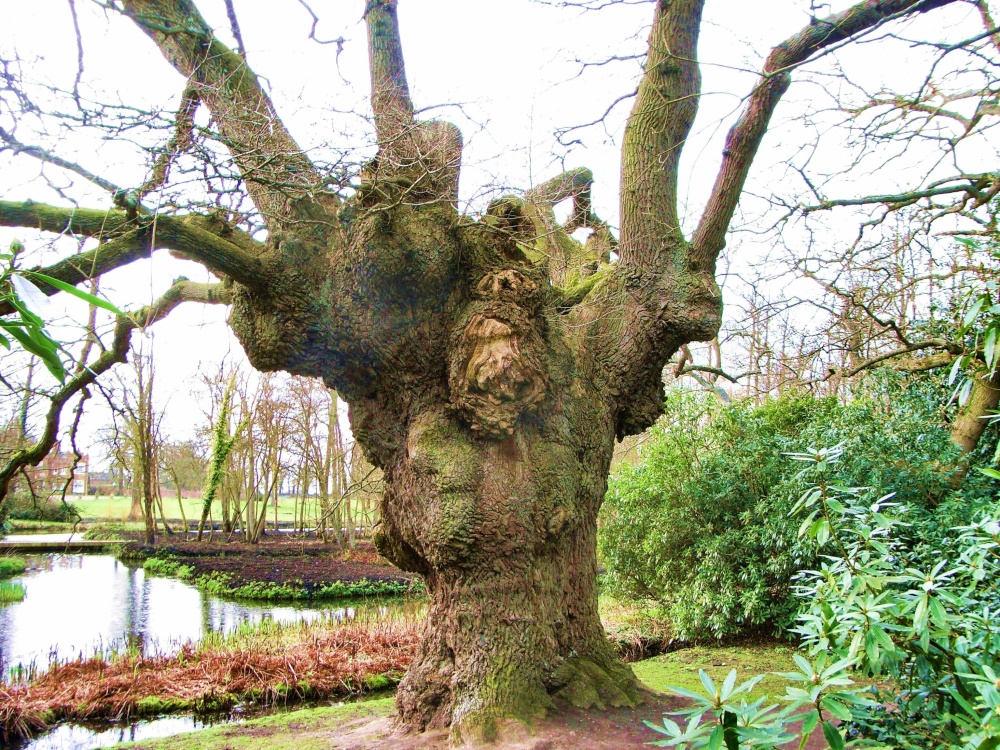 In Fairhaven Gardens