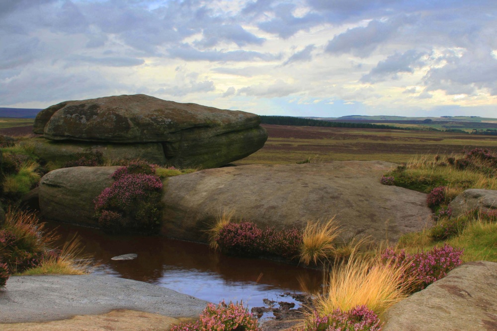 Natural Rock Pool