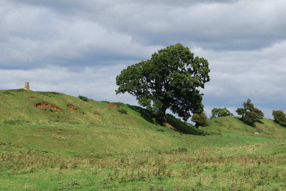 Photograph of Burrough Hill Fort