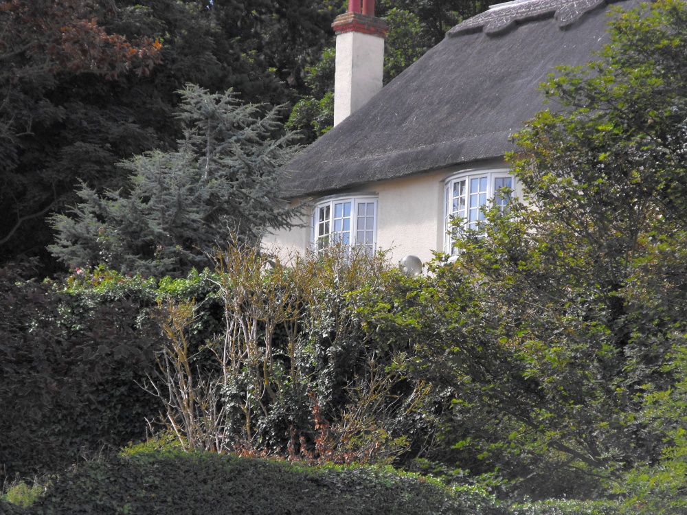 Thatched house in West Lulworth