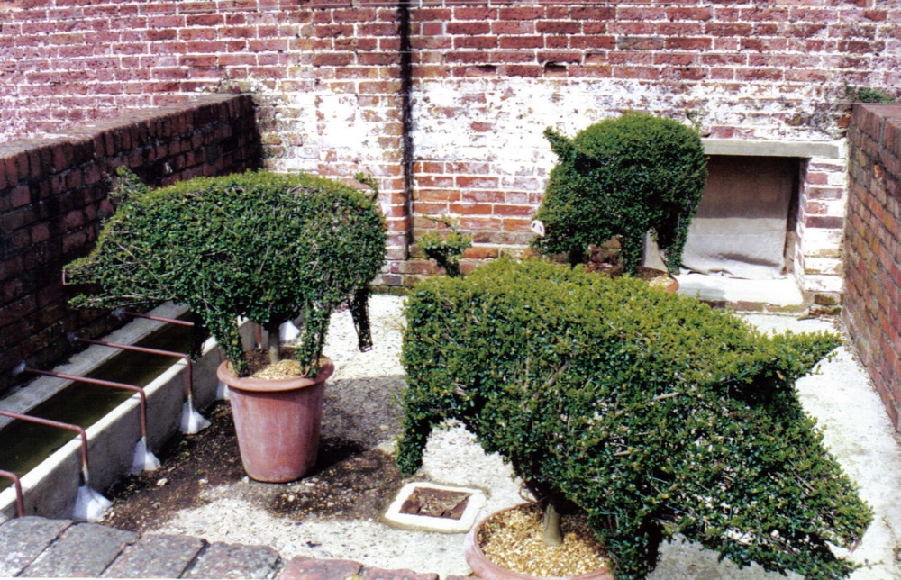 One for the Pig lovers.