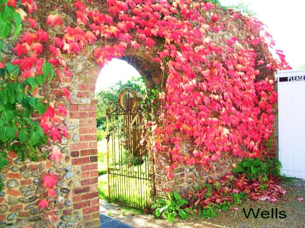 A view of Wells-next-the-Sea