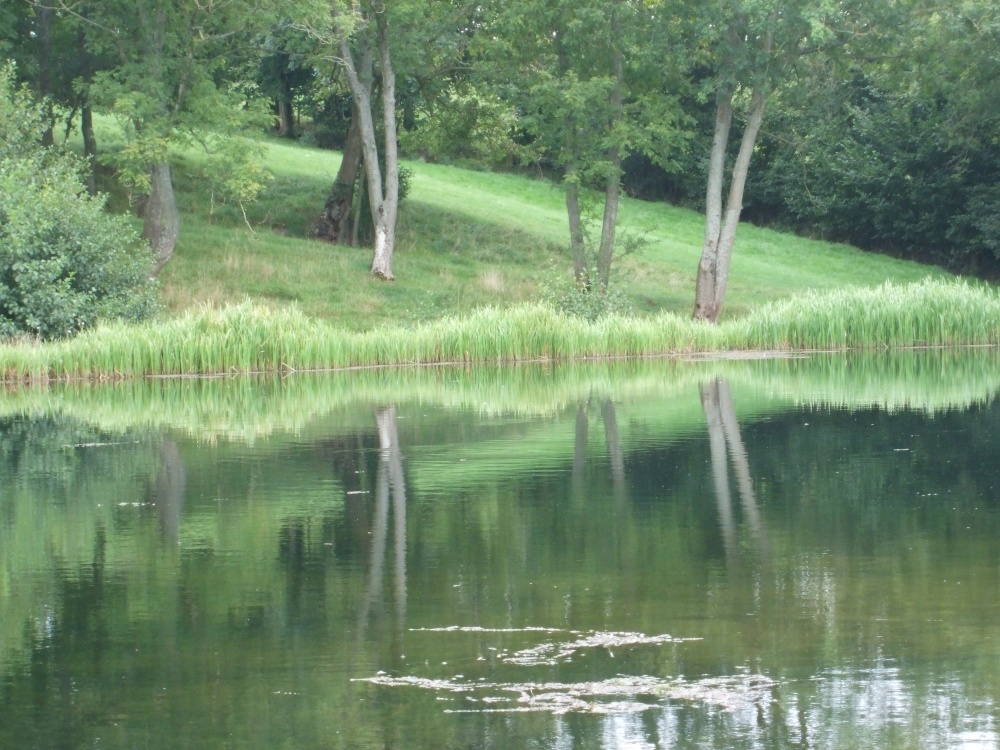 Fishing lake