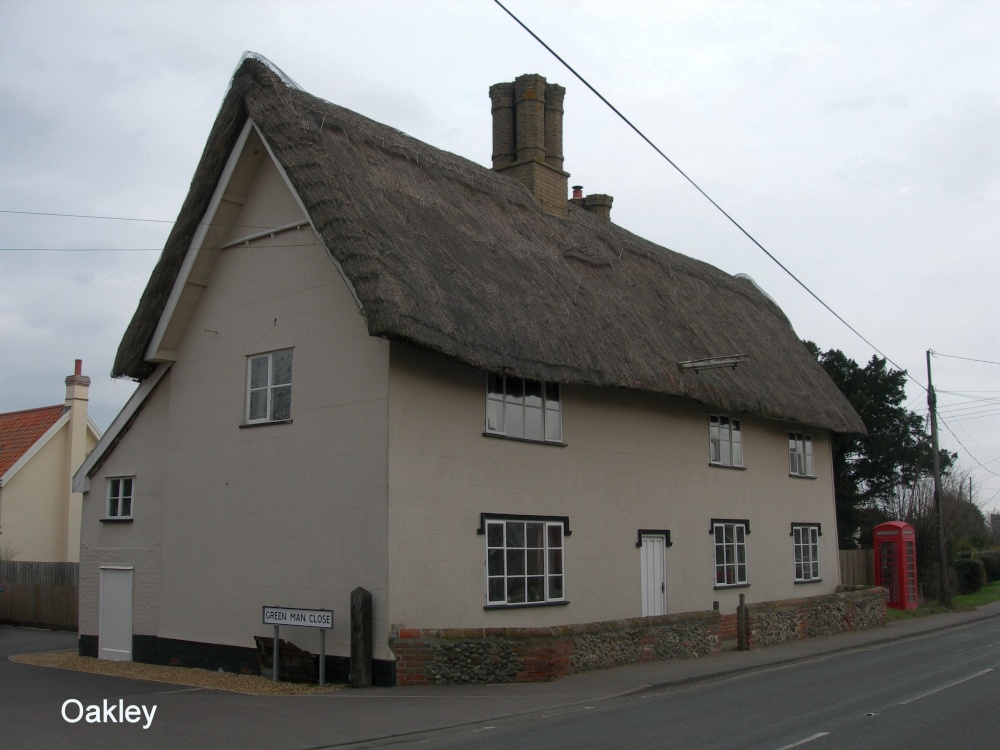 Thatched Cottage in Oakley