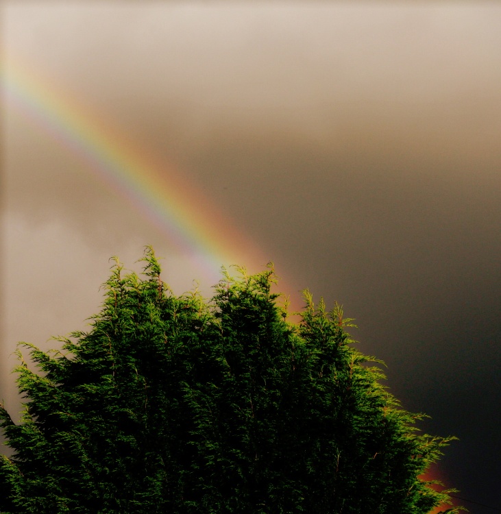 Rainbow's end Bilton