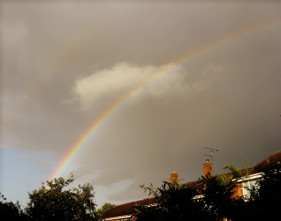 Peace at the end of the storm