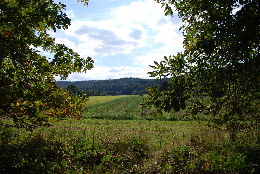View from the lane at Ribbesford Church