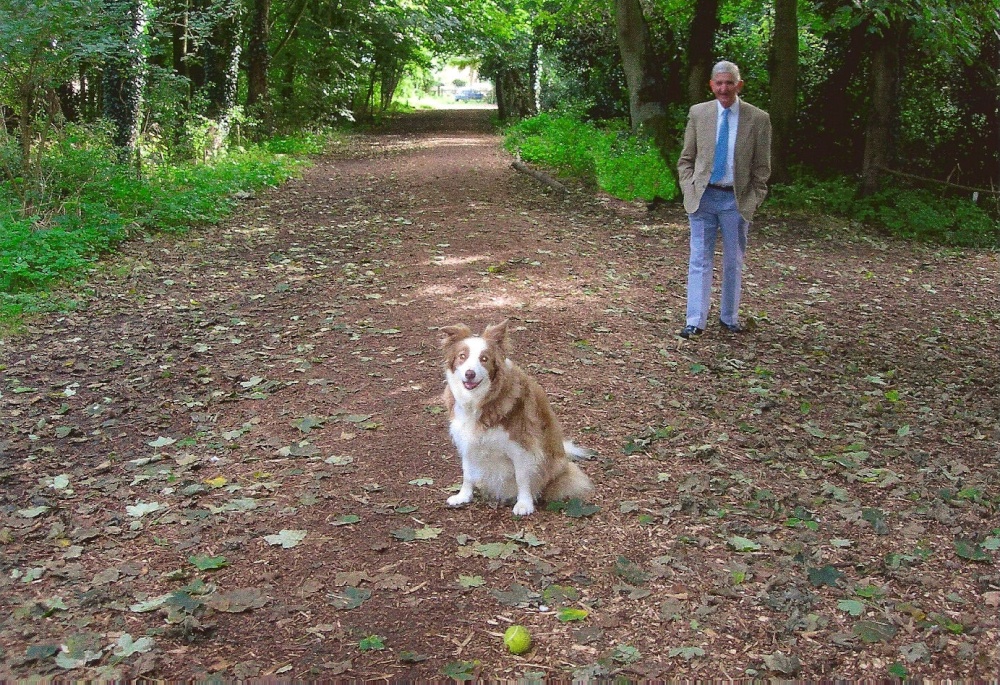 Path through Gunton Woods, leading to the Pleasurewood Hills Theme Park at Corton.