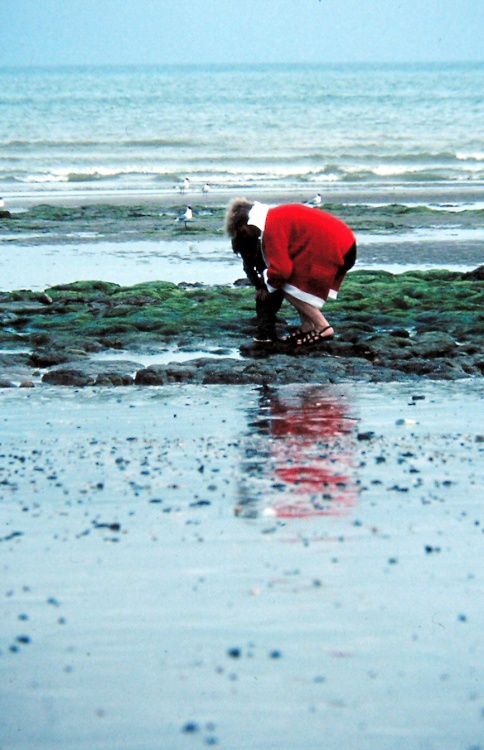 Searching the rock pools.
