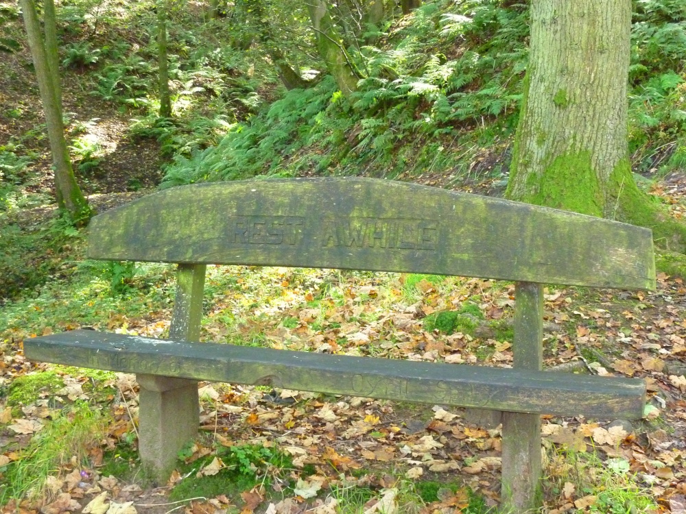 Boggy Wood, Claughton