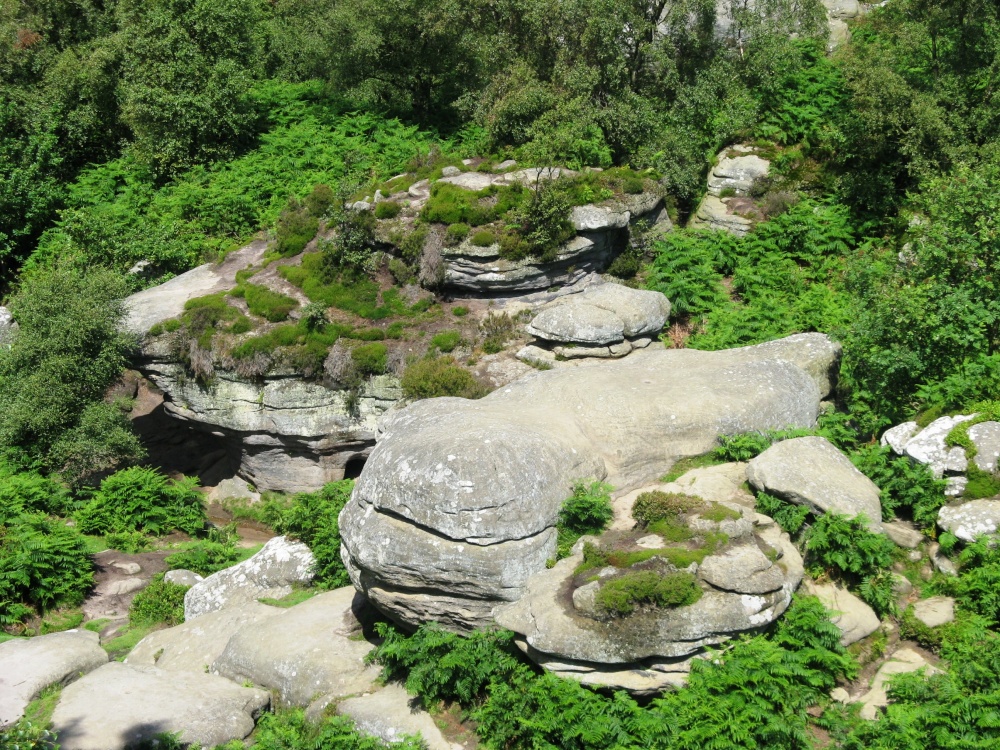 Brimham Rocks