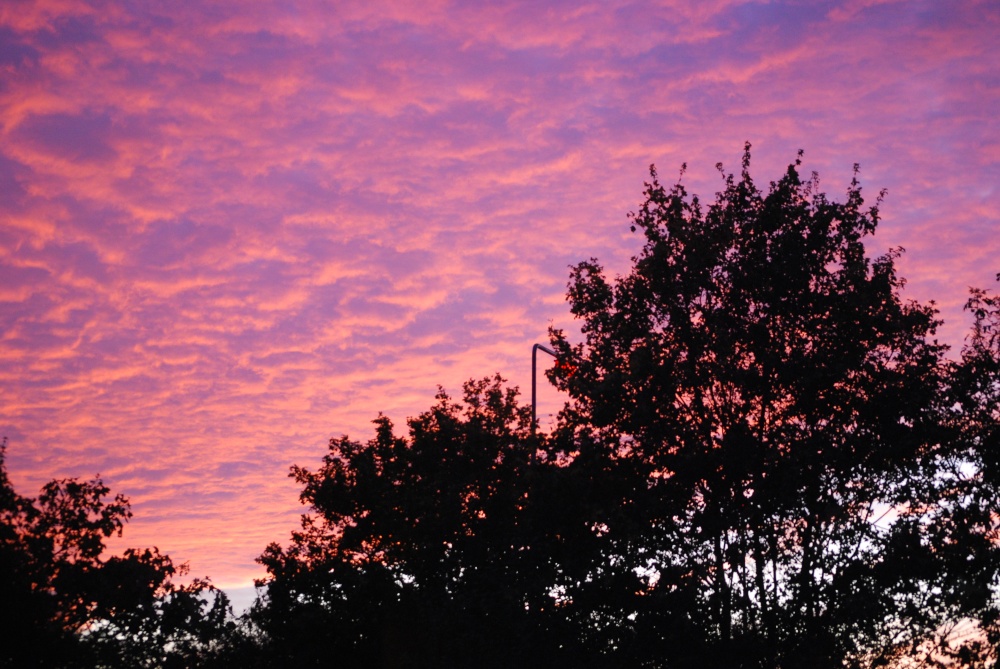 View towards Merry Hill