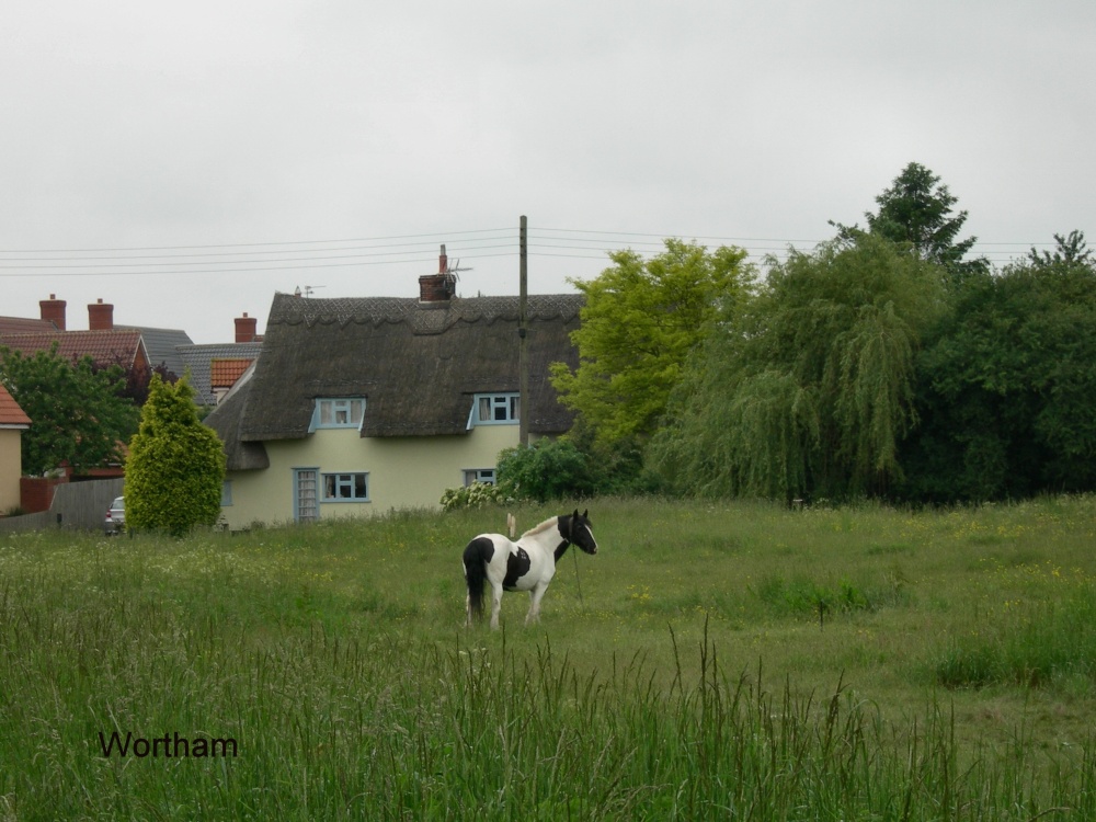 Thatched houses in Wortham