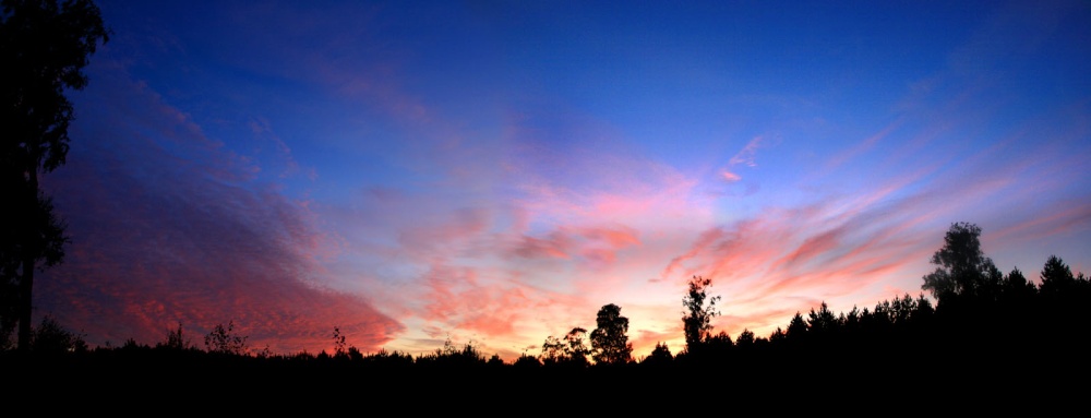 Cannock Chase sunset panorama 1