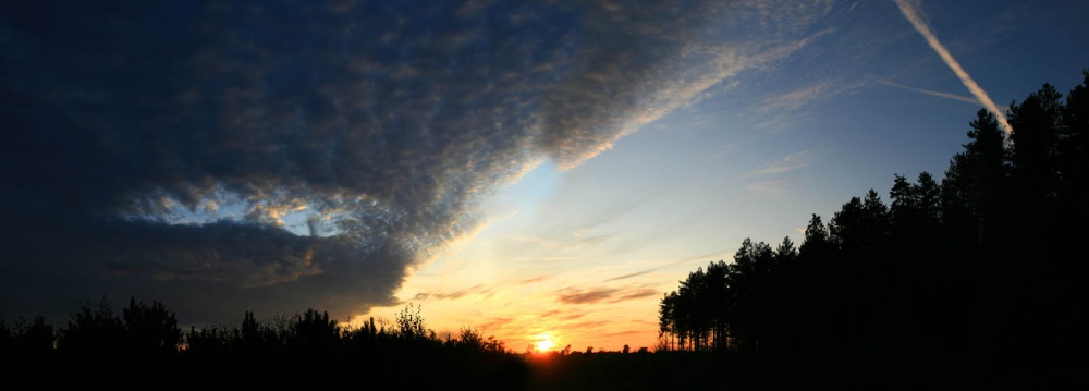 Cannock Chase sunset panorama 2