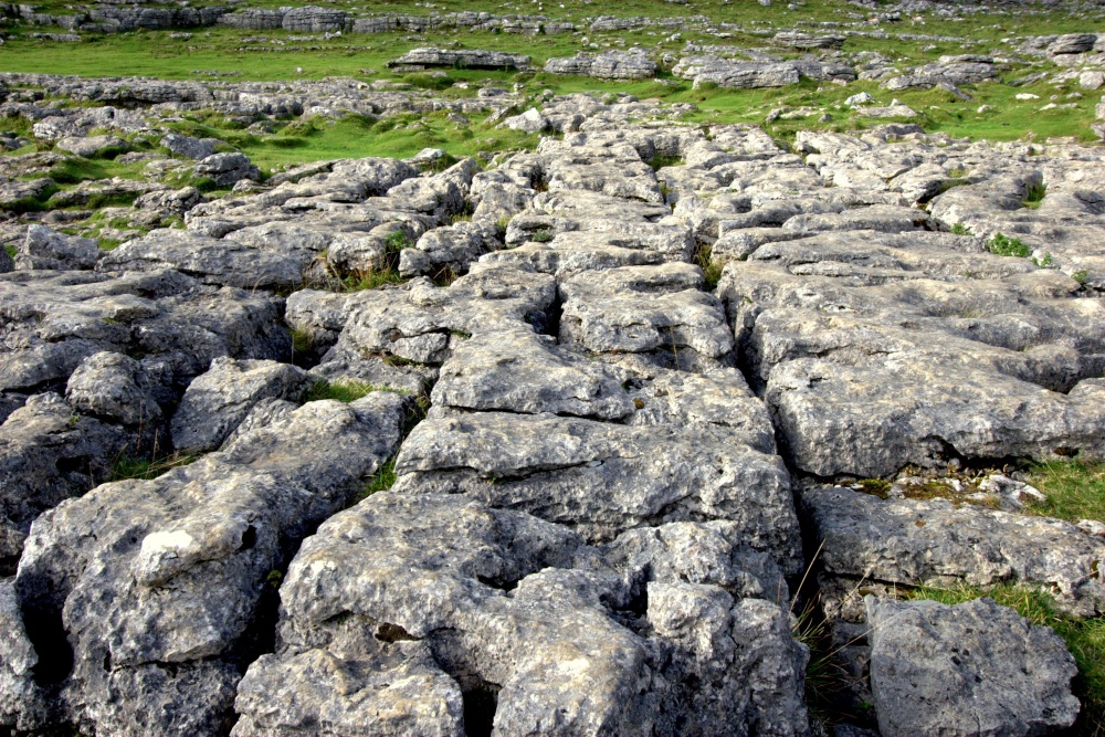Malham Cove Limestone Pavements.