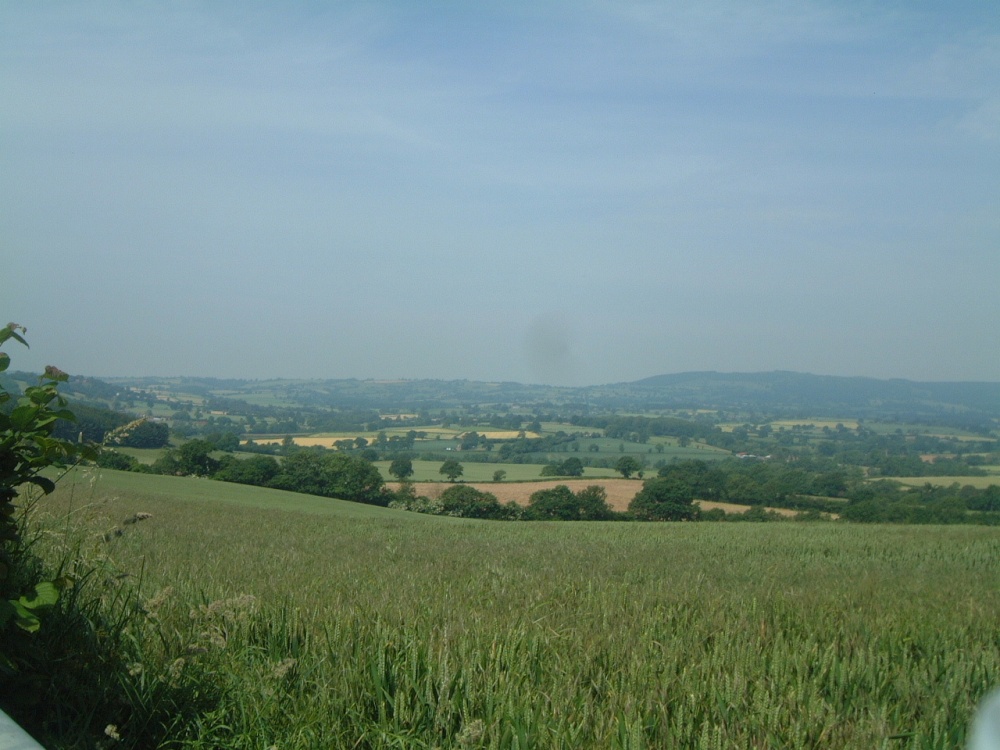 Shropshire countryside