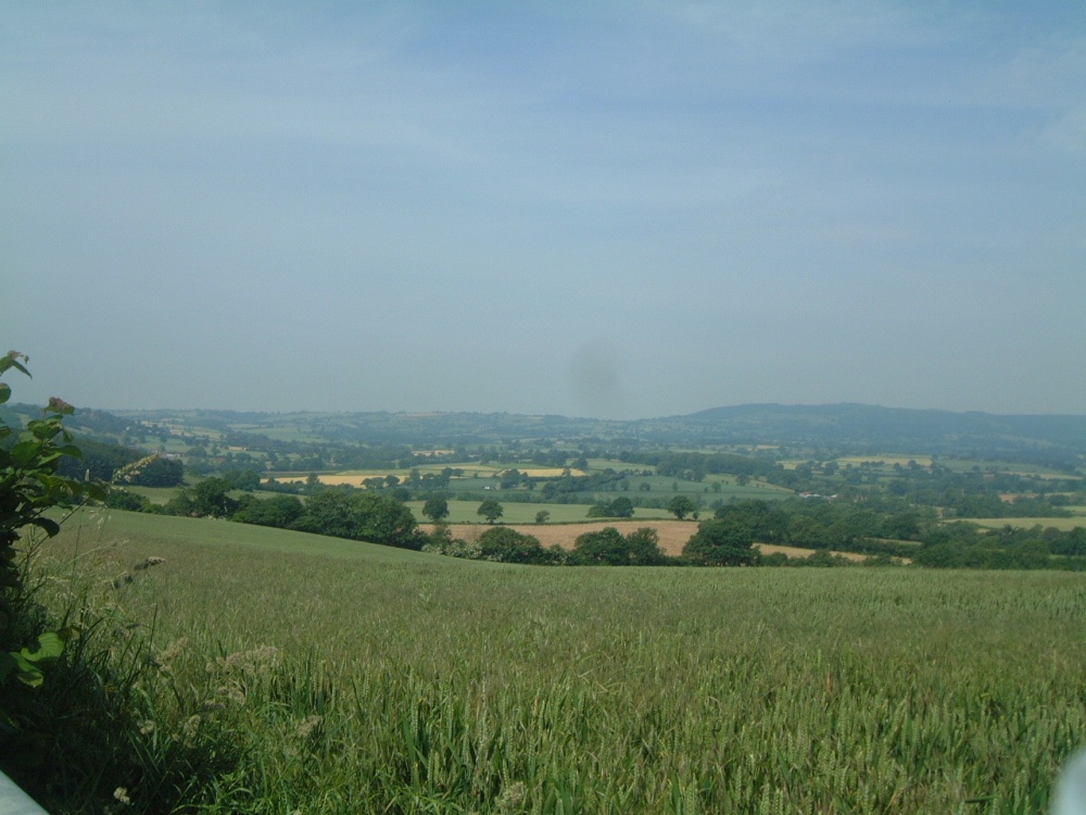 Photograph of Shropshire countryside