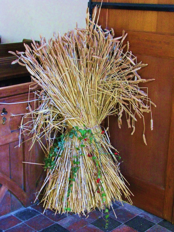 A Sheaf of corn in the Church on Harvest Thanksgiving Sunday