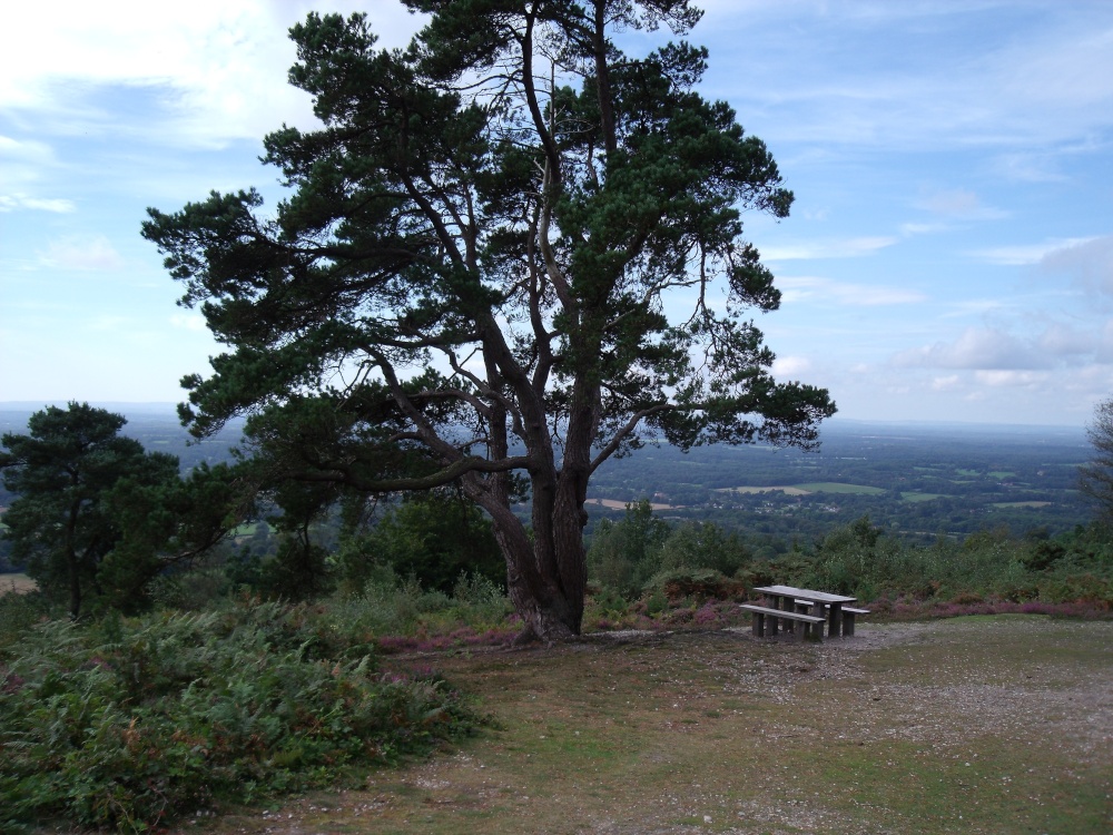 Leith Hill photo by Phil Jobson