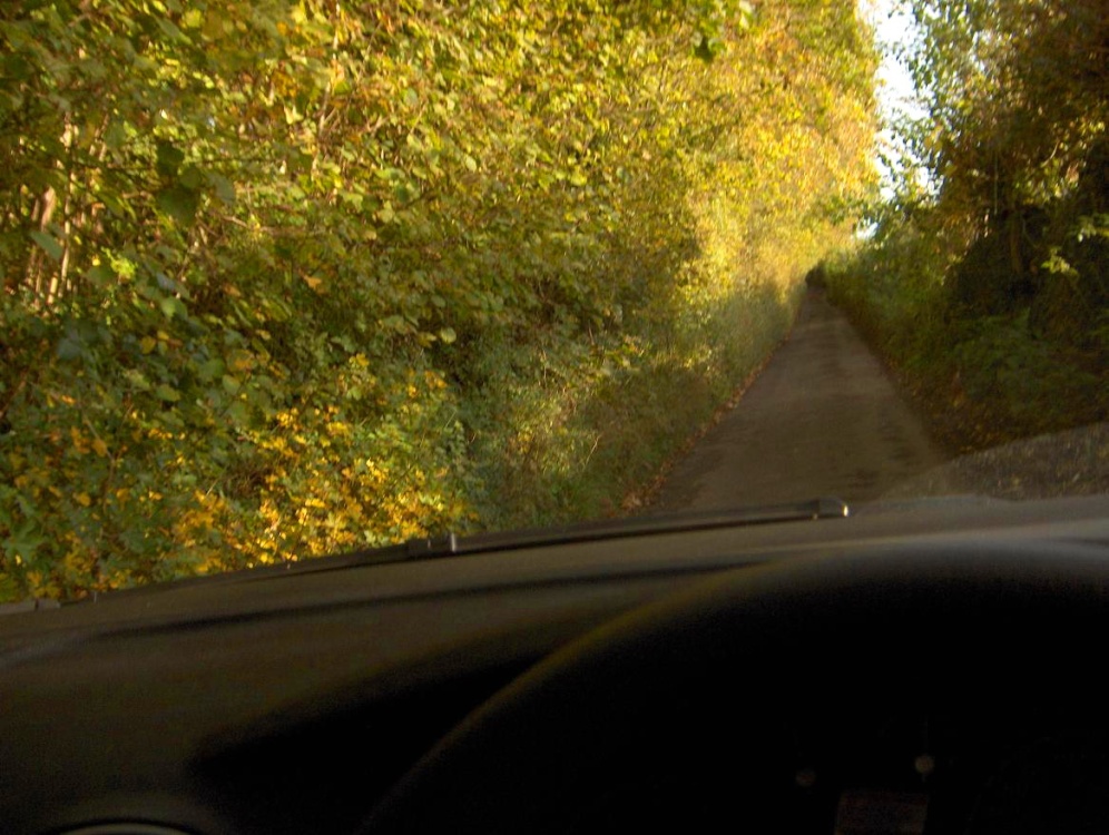 Iford Lane, going to Iford Manor