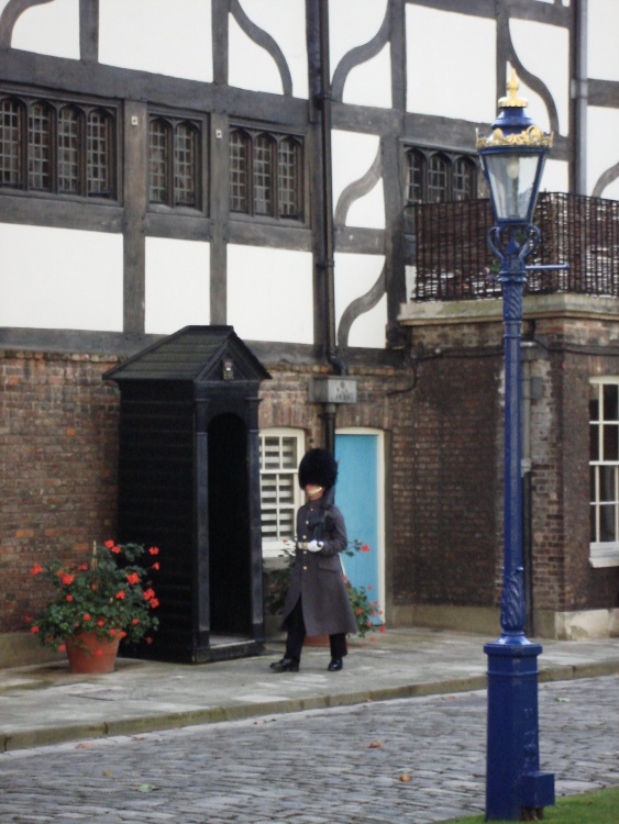 Sentry walking his post