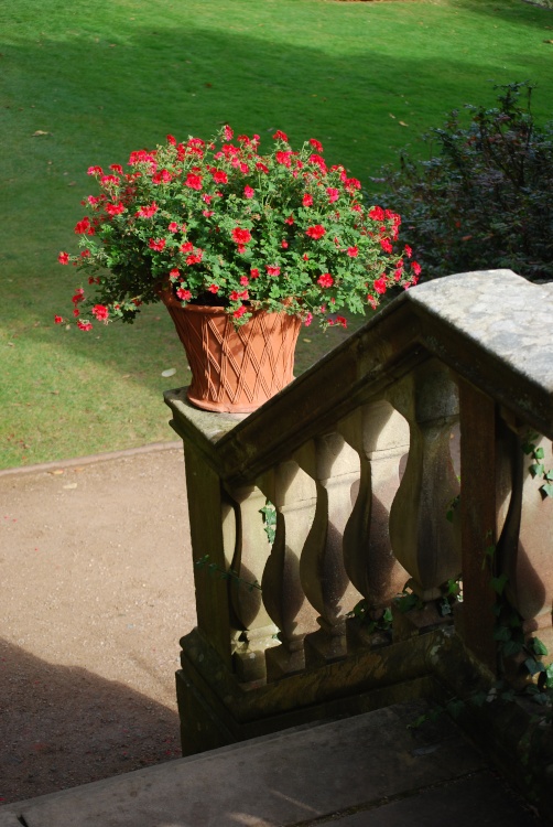 Bottom of the steps at Powis Castle