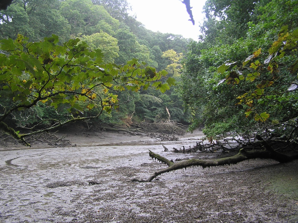 Frenchman's Creek with the tide out photo by Hilary Hoad