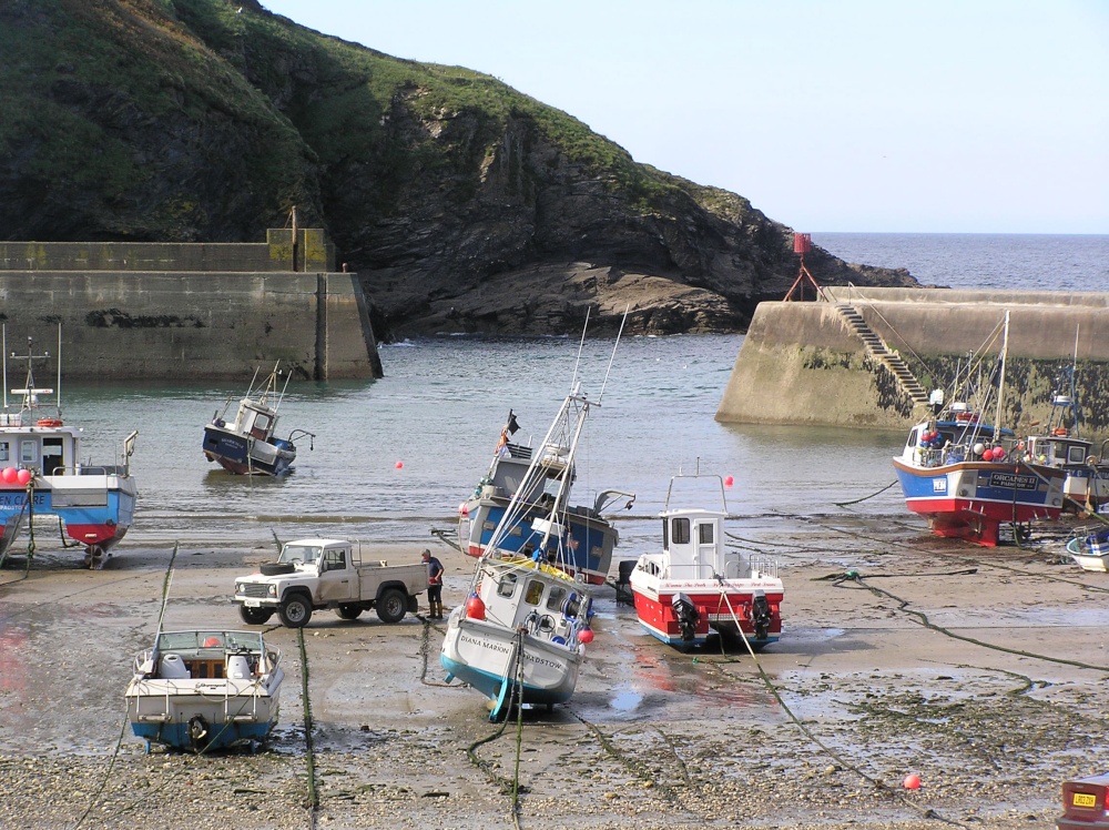 "Port Isaac harbour" by Hilary Hoad at