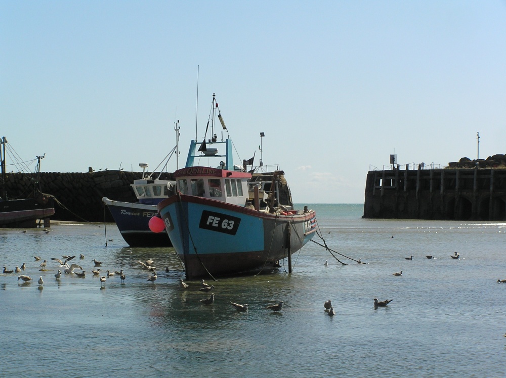 Folkestone harbour