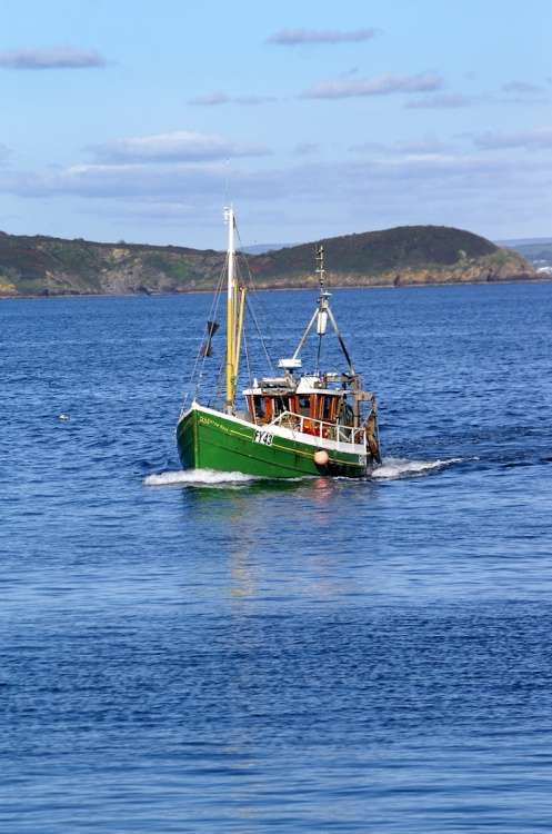 Fishing boat coming into the harbour.