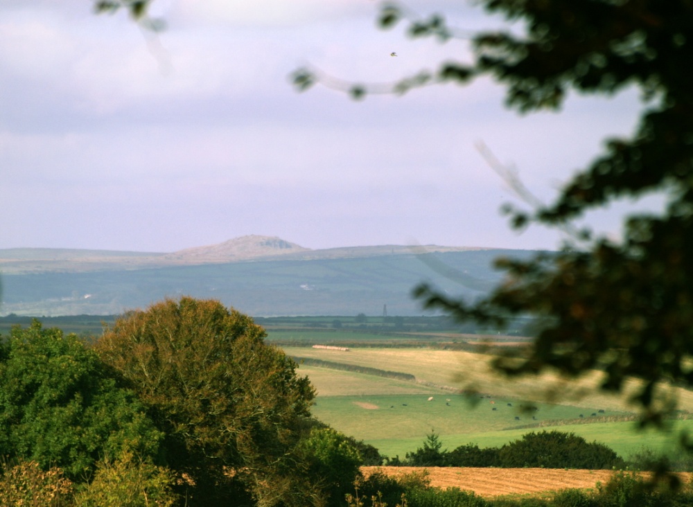 View from Trelawne Manor.