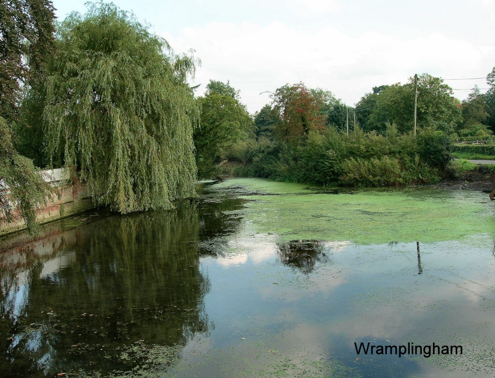Wramplingham Pond.