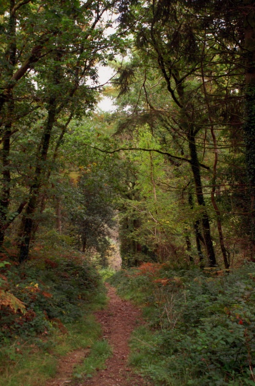 On the brow of a steep hill.