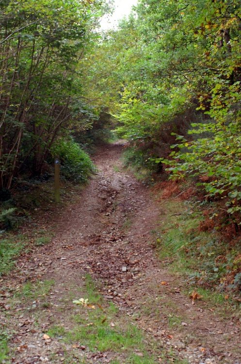 Another uphill climb.