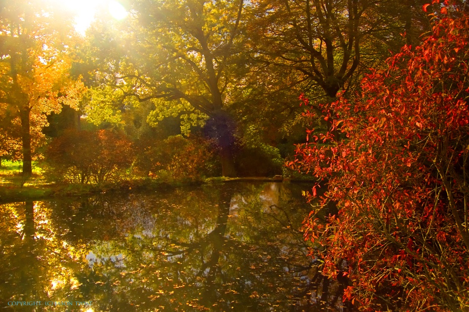 Autumn photo by Jason T