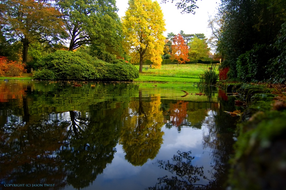 Photograph of Autumn reflection