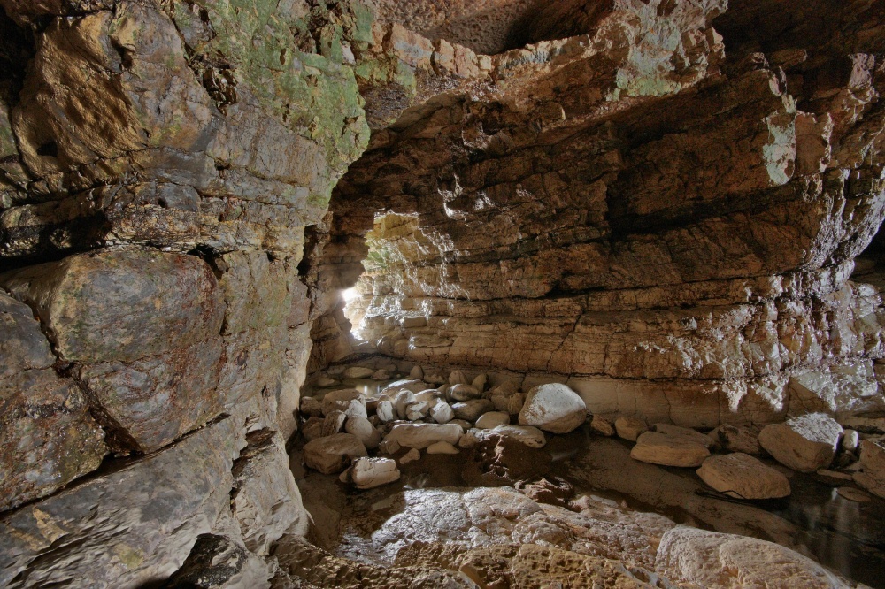 Flamborough 19-10-09_003 photo by Paul Lakin