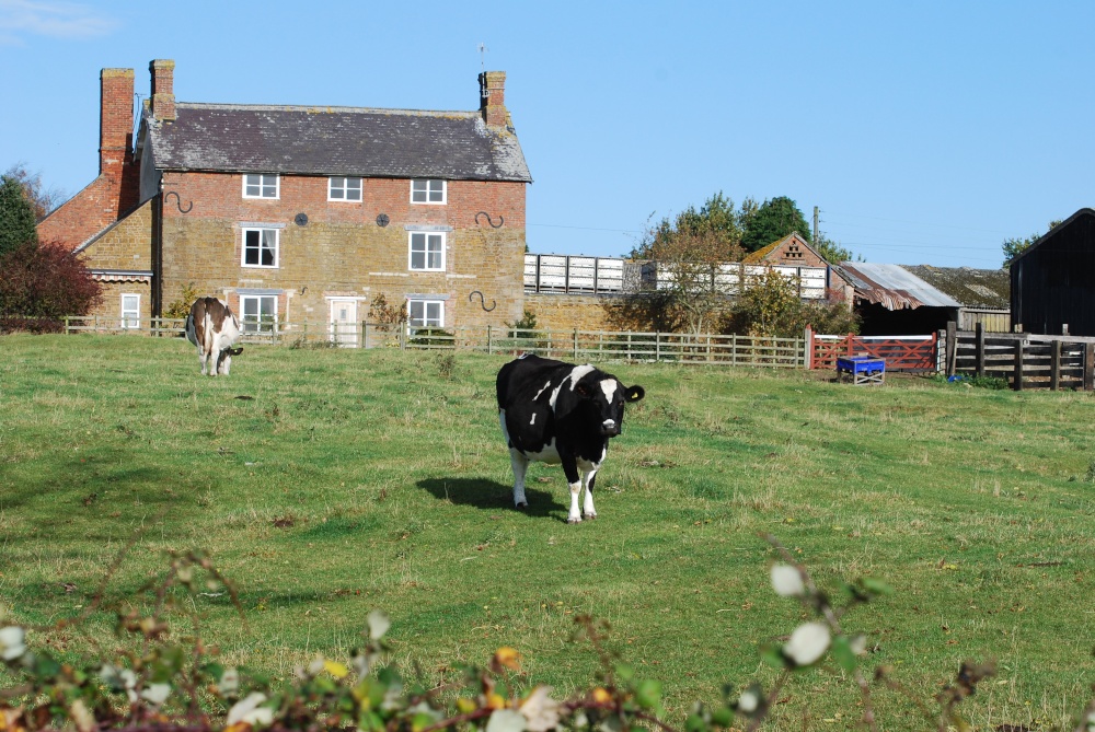 Photograph of Farm House