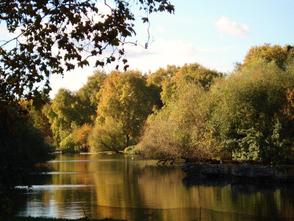 St. James's Park, London photo by Urmimala Singh