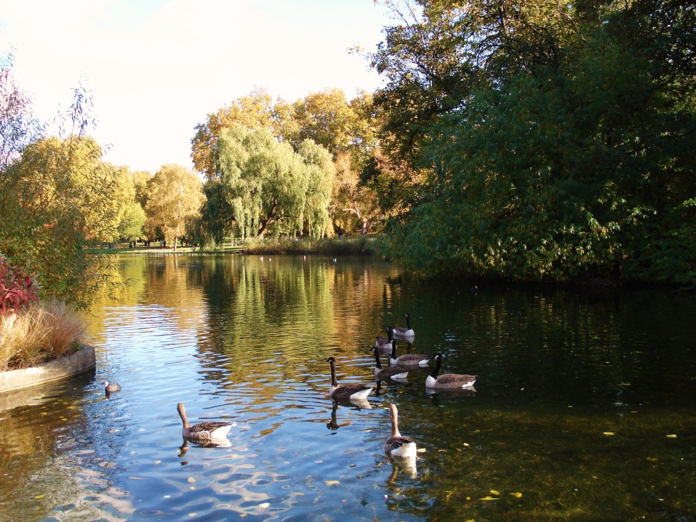 St. James's Park, London