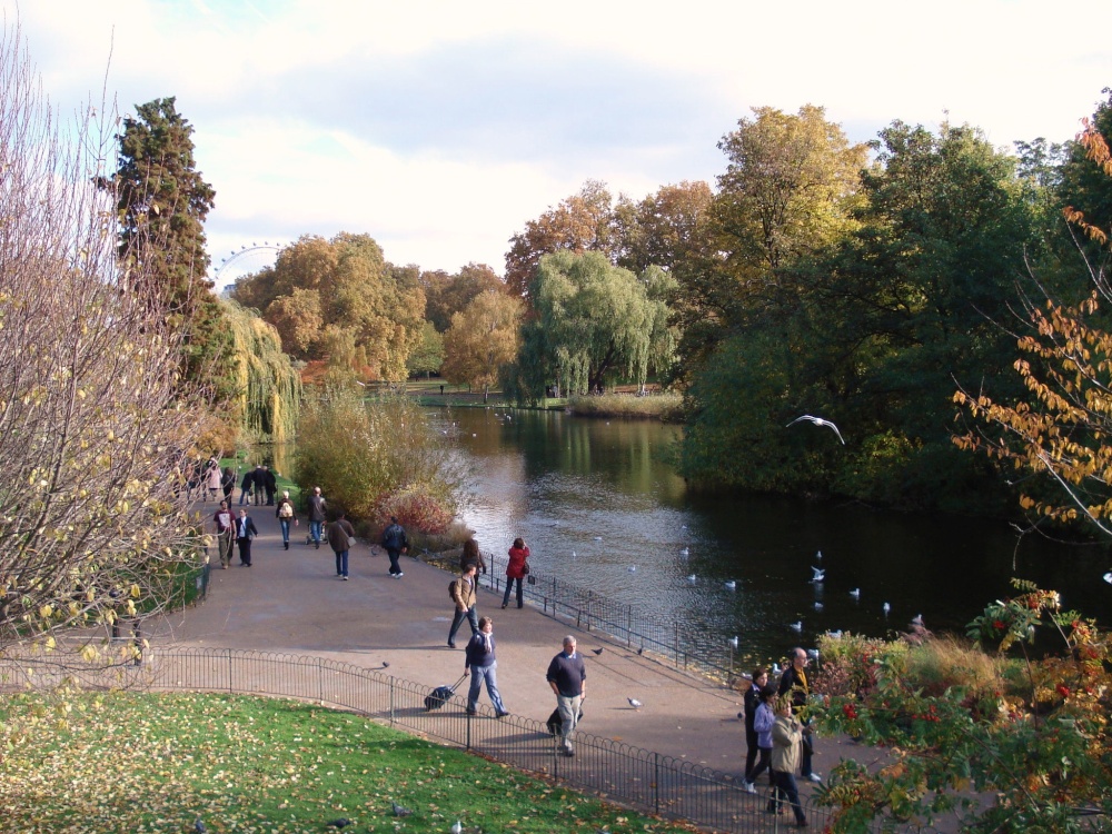 St. James's Park, London photo by Urmimala Singh